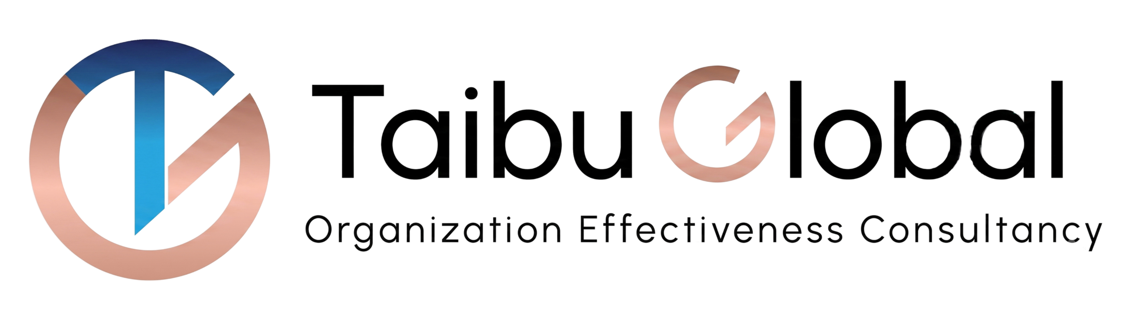 Taibu Global - Executive Coaching Services in Dubai 
